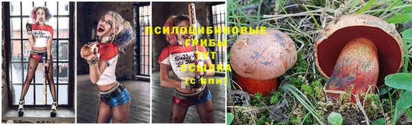 первитин Зерноград