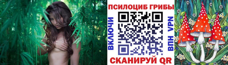 Галлюциногенные грибы Magic Shrooms что такое площадка телеграм Себеж